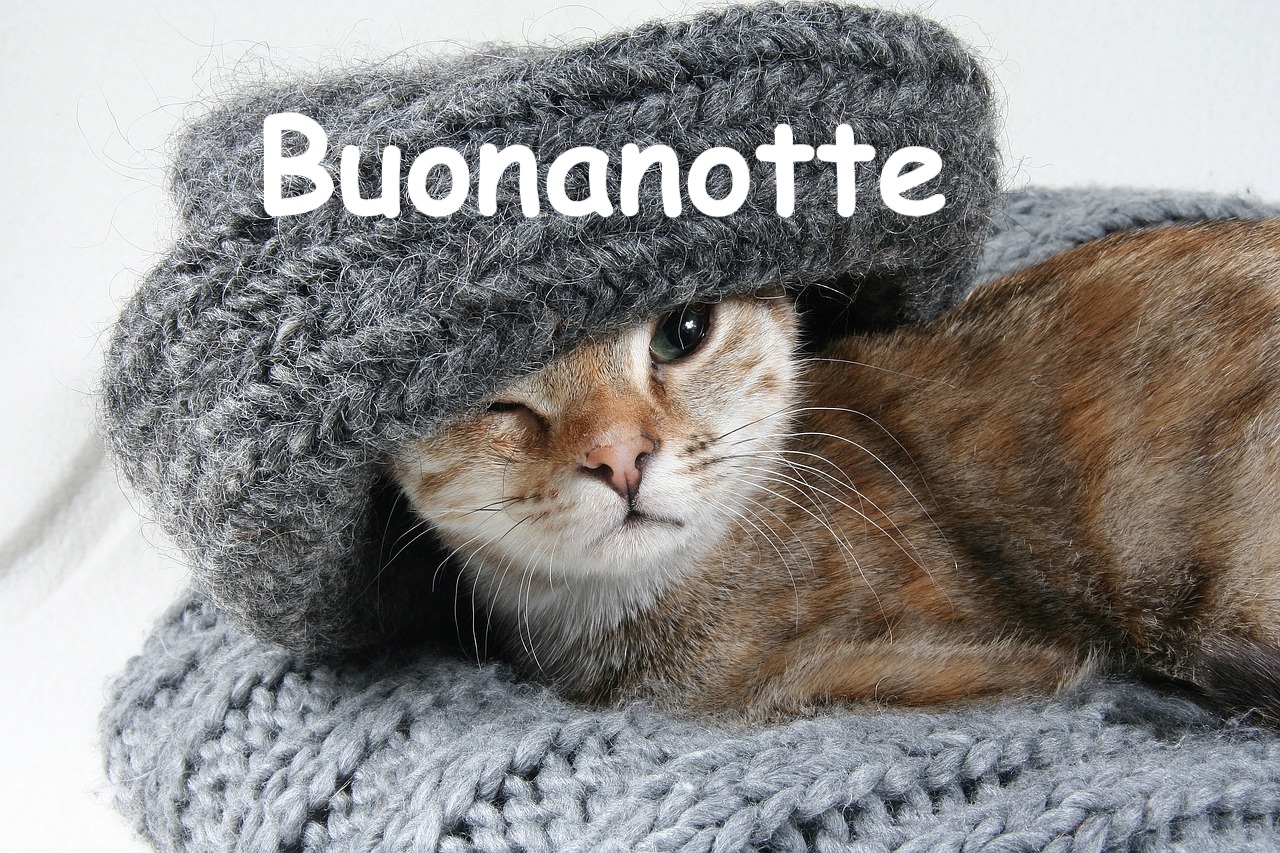  un gattino circondato da lana con un cappello grigio e che fa l'occhiolino'